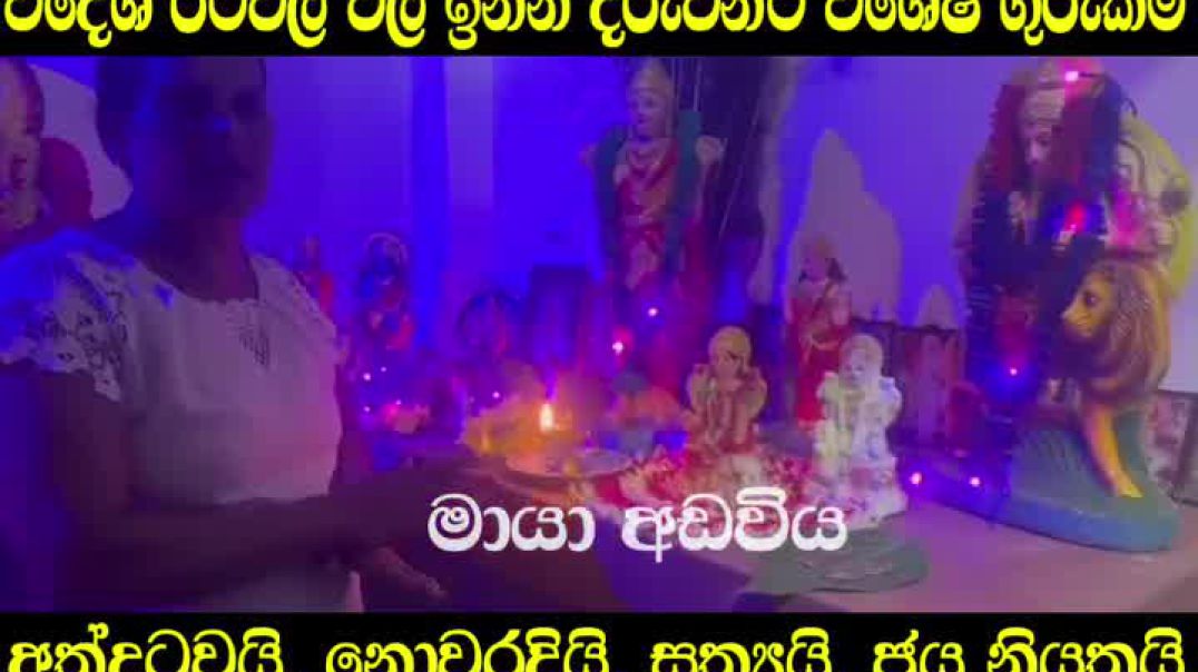 sngine_7d3c222342308819625a611e4b08c377